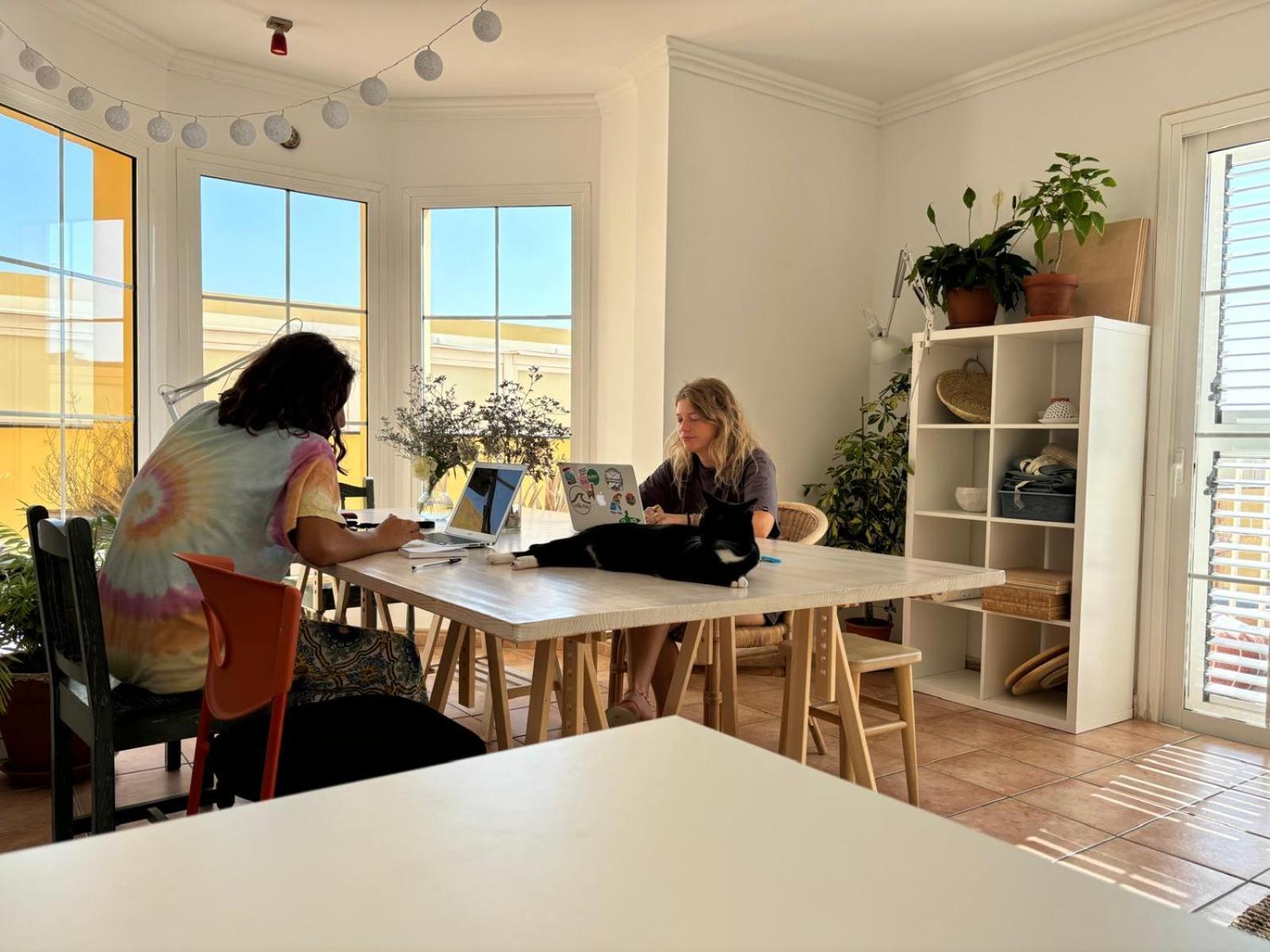 Medano Beach Coliving El Medano  Bagian luar foto